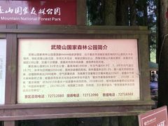 -武陵山森林公园