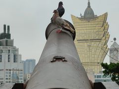 -大炮台