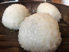 茨毛圆子-双塔老饭店