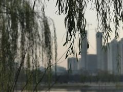 -西北湖绿化广场
