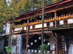 -青城甲(青城山店)