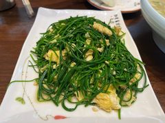 -靖远尕六美味羊羔肉