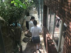-竹吟山房