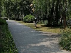 -南翔镇银翔湖公园