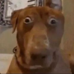 -深圳市妇幼保健院(红荔院区)