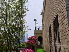 -上海和平饭店华懋阁 Cathay Room