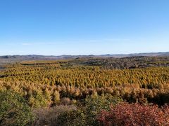 -塞罕坝国家级自然保护区