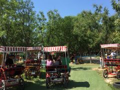 -永定河休闲森林公园