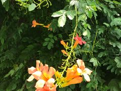 -南通洲际绿博园