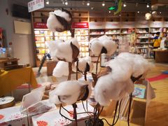 -当当书店(国泰广场店)