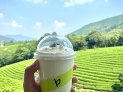 安吉白茶奶芙-白茶原·一片叶子
