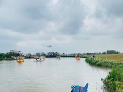 -空港花田景区