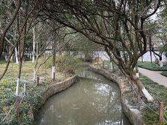 -瀛洲公园