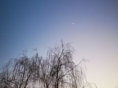 -眉山湿地公园(东坡区)