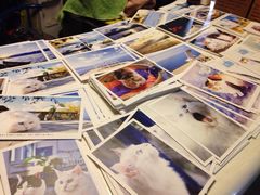 iphone_upload_pic-Anne猫窝咖啡屋