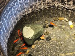 -福茂源横山铁锅羊肉(牡丹园店)