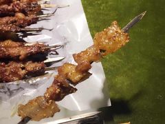 星月烧烤-星月烧烤(安国街店)