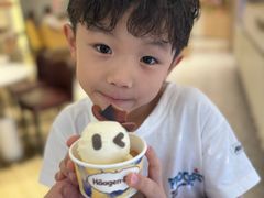 -哈根达斯(武汉天地店)