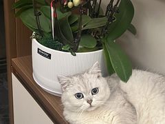 -和府捞面(天河领展广场店)