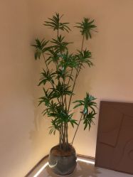 -LORI SPA洛丽汇 美肤抗衰SPA中心