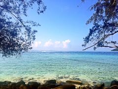 -东姑阿都拉曼海洋公园