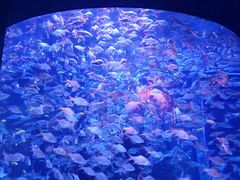 -成都浩海立方海洋公园