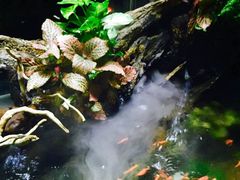 -Together·泰式按摩精油SPA(天山店)