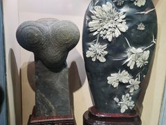 -河南自然博物馆