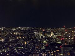 -东京都厅舍