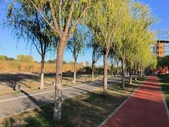 -永定河休闲森林公园