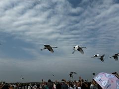 -黑龙江扎龙生态旅游区