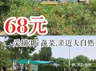 68元采摘3斤蔬菜，亲近大自然