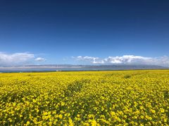 -青海湖国家重点风景名胜区