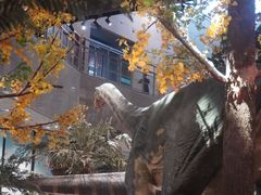 -湖南省地质博物馆