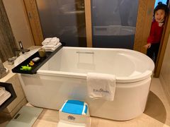 -上海崇明金茂凯悦酒店