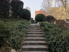 -静安公园(静安寺街道)