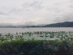 -湖畔居茶楼(湖滨店)