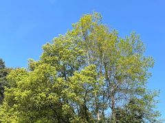 -北海金海湾红树林生态旅游区