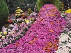 -杭州植物园