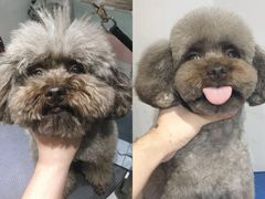 -Oh My Dog宠物沙龙(伊珊娜皮毛护理店)