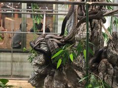 -荔城生鲜盛宴(番禺旗舰店)