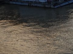 -武汉关码头(轮渡站)