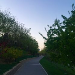 -大望京儿童游乐场