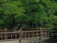 -崂山九水游览区