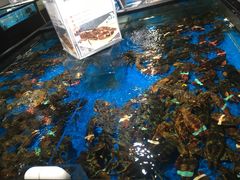 -盒马鲜生(馥邦国际店)