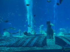 -亚特兰蒂斯•OSSIANO奥西亚诺海底餐厅