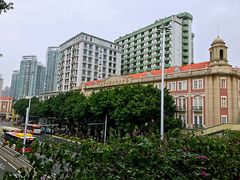 -清平中药材专业市场