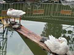 -龙华寺
