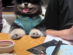 -匠和风精致料理(成都龙湖滨江天街店)