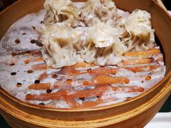 -老阿妈蒙古村·蒙古包·草原文化·歌舞表演(老君堂店)